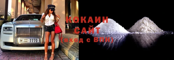 прущие грибы Бежецк